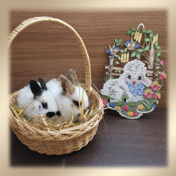 Niedliche Hasenbabys im Stroh unterstreichen den Charme unseres "Fensterbild Schäfchen & Blaumeisen" - eine lebendige, handgefertigte Frühlings- und Osterdekoration mit einem verspielten Lamm und bunten Blüten. Die perfekte Ergänzung für Ihre saisonale Dekoration!.