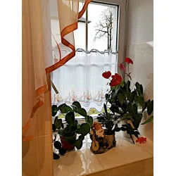 Kundenfoto - Vielen Dank für die Zusendung