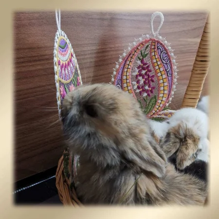 Ein brauner Hase sitzt in einem Korb neben bunten, gestickten Ostereierdekorationen. Der Hintergrund ist eine Holzoberfläche, und das Bild ist mit einem weichen beigen Rand umrahmt. Die Nase des Kaninchens befindet sich in der Nähe der Stickerei auf den Eiern.